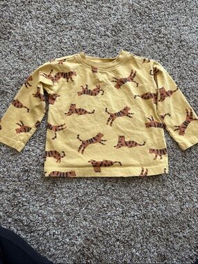 Hanna Andersson Mustard Long-Sleeve Tiger Print Tee